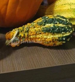 Villa Pátzay Borhotel Étterme