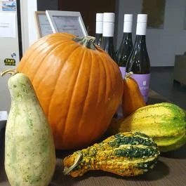 Villa Pátzay Borhotel Étterme Badacsonytomaj - Egyéb