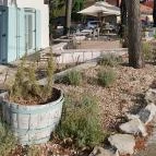 VillaBella Coffee & Bistro Badacsonytomaj - Egyéb