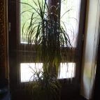 Vincent Bar & Pastry Kecskemét - Belső