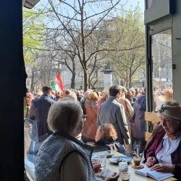 Vinikli, Budapest - Egyéb