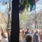 Vinikli Budapest - Egyéb