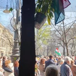 Vinikli, Budapest - Egyéb