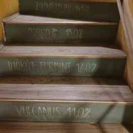 Vinikli, Budapest - Egyéb