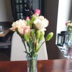 Vinozza Budapest - Egyéb