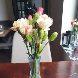 Vinozza, Budapest - Egyéb