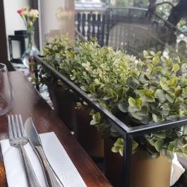 Vinozza, Budapest - Egyéb