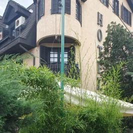 Vinozza, Budapest - Egyéb