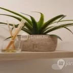 Vintage World Debrecen - Egyéb