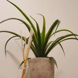 Vintage World Debrecen - Egyéb