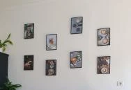 Virág Kávézó Paks