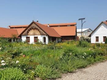 Virágoskúti Rózsakert Biocsárda Balmazújváros