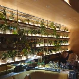 VIRTU Restaurant, Budapest - Egyéb