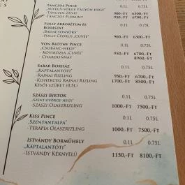 Vitis Kúria - A Badacsony kapuja Balatonrendes - Egyéb