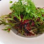 Vitis Kúria - A Badacsony kapuja Balatonrendes - Egyéb