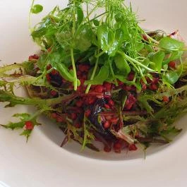 Vitis Kúria - A Badacsony kapuja Balatonrendes - Egyéb