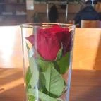 Vitorlás Étterem Balatonlelle - Egyéb