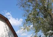 Vitrin Bistro Nagymaros