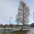 Volcz birtok Ajka - Egyéb