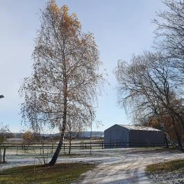 Volcz birtok Ajka - Egyéb