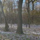 Volcz birtok Ajka - Egyéb