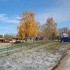 Volcz birtok Ajka - Egyéb