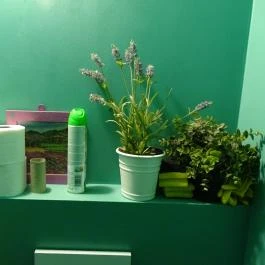 Vostro, Budapest - Mosdó