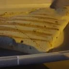 Waffly Gyömrő - Egyéb