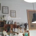 Wake Cup Békéscsaba - Egyéb