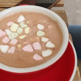 Wake Cup Békéscsaba - Egyéb