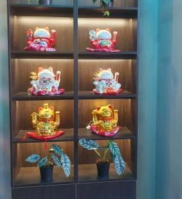 Wang mester - Eastwin