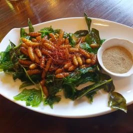 Wang mester - Eastwin, Budapest - Egyéb