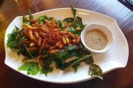 Wang mester - Eastwin Budapest