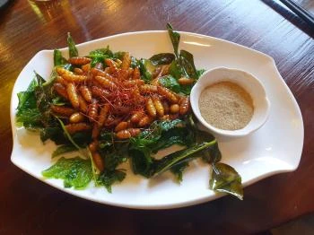 Wang mester - Eastwin Budapest