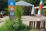 Wolf Burger Szigethalom