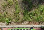 X Büfé Balatonakarattya