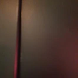 Yuru, Budapest - Egyéb