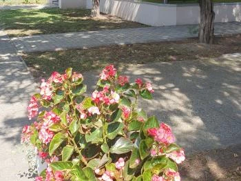 Zacc Kávézó Tiszakécske