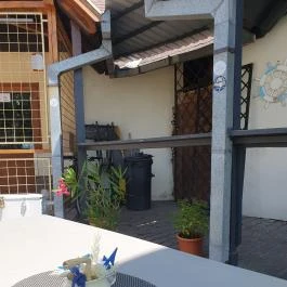 Zánka Borozó Balatonalmádi - Egyéb