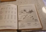 Zelna Borbár Balatonfüred