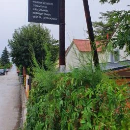 Zeus Café & Wine, Badacsonytomaj - Egyéb