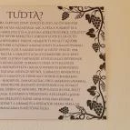 Zeus Café & Wine Badacsonytomaj - Egyéb