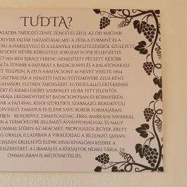 Zeus Café & Wine, Badacsonytomaj - Egyéb