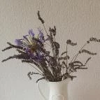 Zeus Café & Wine Badacsonytomaj - Egyéb