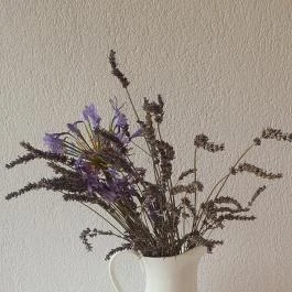 Zeus Café & Wine, Badacsonytomaj - Egyéb