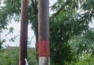 Zeus Café & Wine Badacsonytomaj