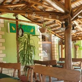 Zöld Ász , Szabadszállás - Egyéb