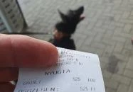 Zöld Ász Söröző Füzesabony