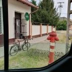 Zöld elefánt Makó - Külső kép