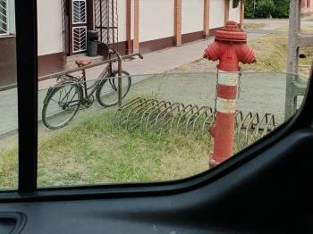 Zöld elefánt Makó